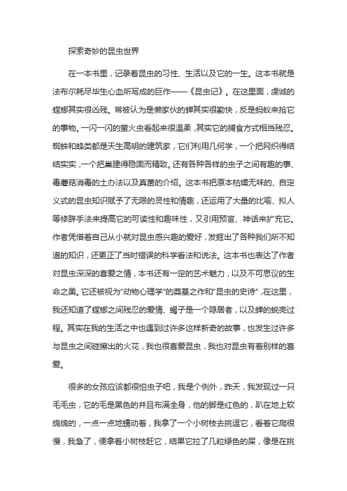 好书读后感：探索奇妙的昆虫世界