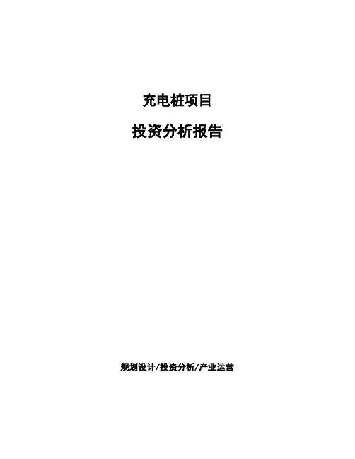充电桩项目投资分析报告 (1)