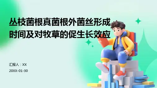 丛枝菌根真菌根外菌丝形成时间及对牧草的促生长效应