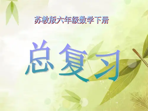 六年级数学下册总复习