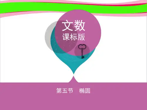 椭圆   2019高考数学专项复习精讲