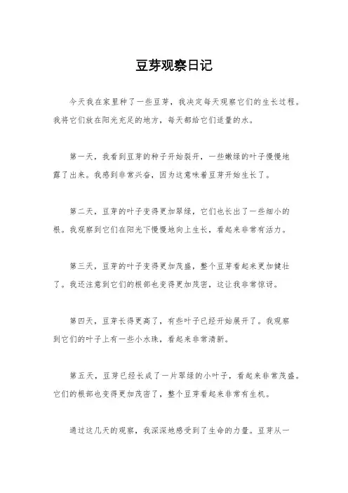 豆芽观察日记