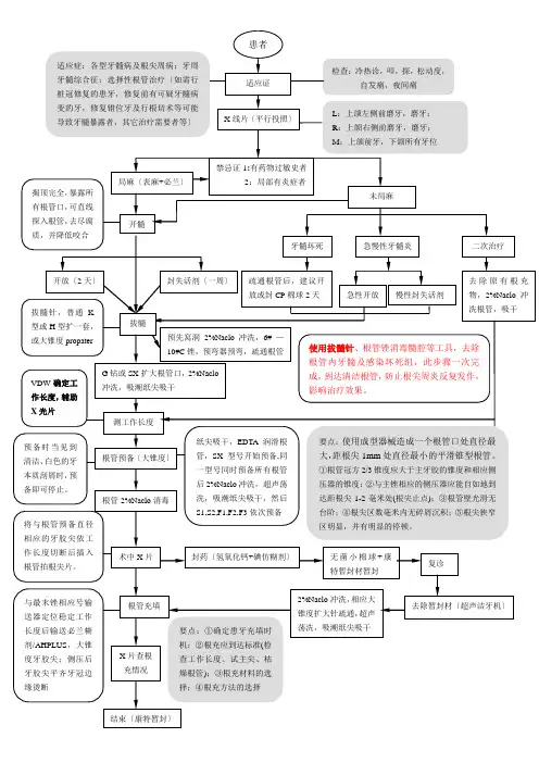 根管治疗操作流程e