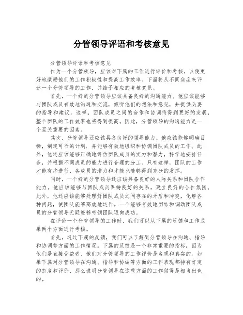 分管领导评语和考核意见