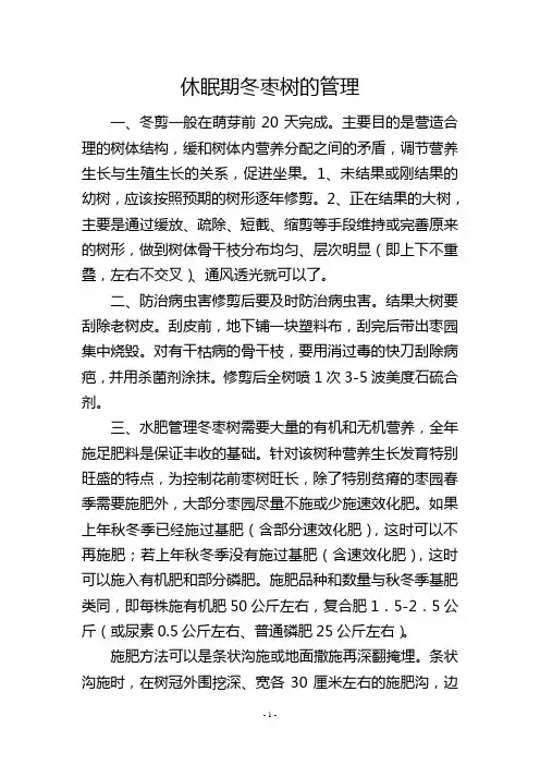 休眠期冬枣树的管理