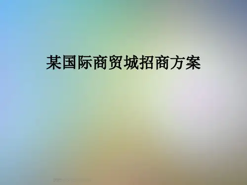 某国际商贸城招商方案