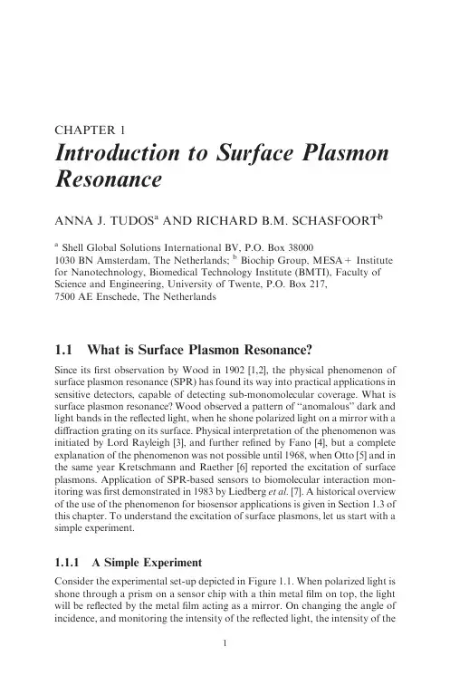 Introduction of surface plasmon resonance