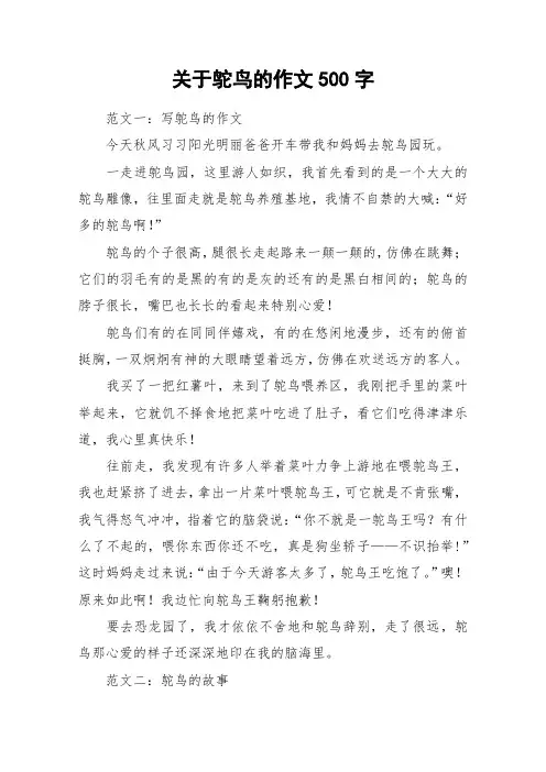 关于鸵鸟的作文500字_作文