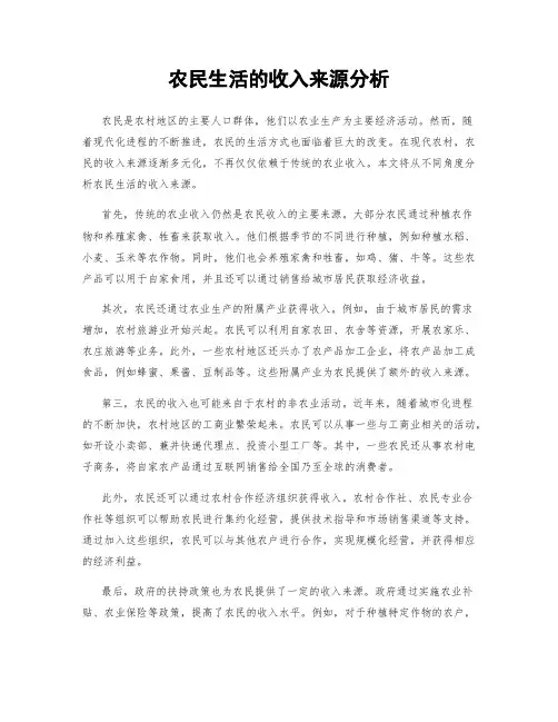 农民生活的收入来源分析