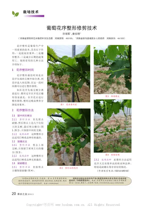 葡萄花序整形修剪技术