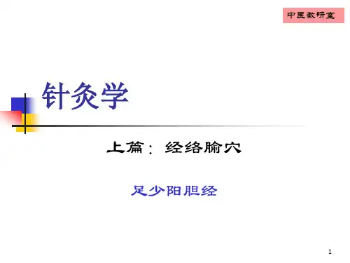 经络腧穴足少阳胆经PPT课件