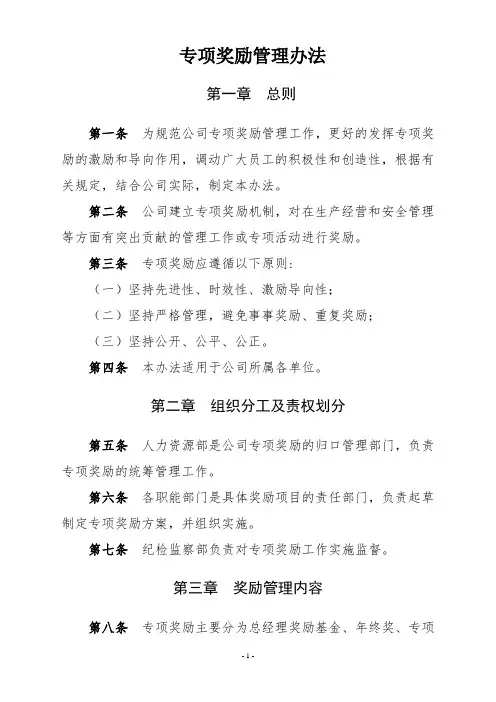 公司专项奖励管理办法