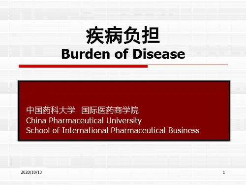 疾病负担PPT