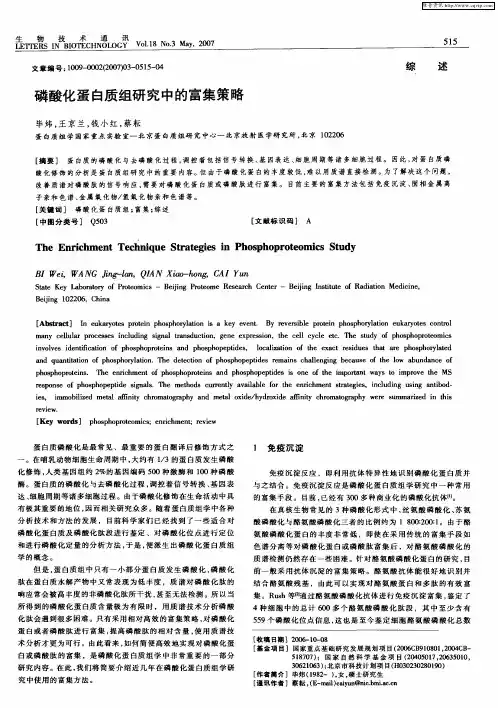 磷酸化蛋白质组研究中的富集策略