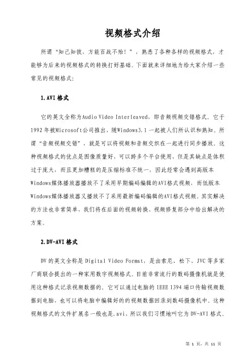 视频格式介绍