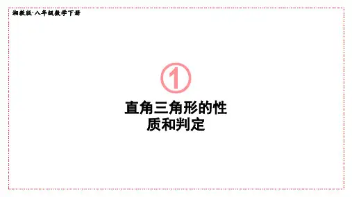 《直角三角形的性质和判定》PPT课件 湘教版