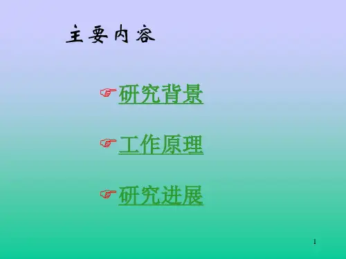 染料敏化ppt课件