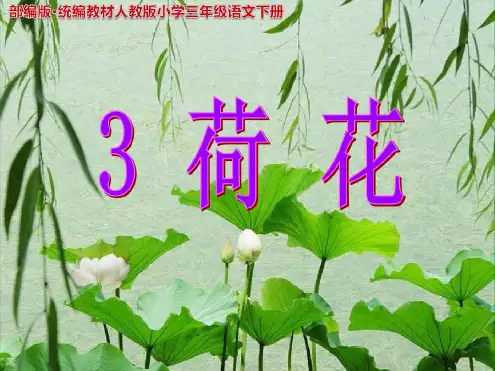 《荷花》说课最新优质ppt课件