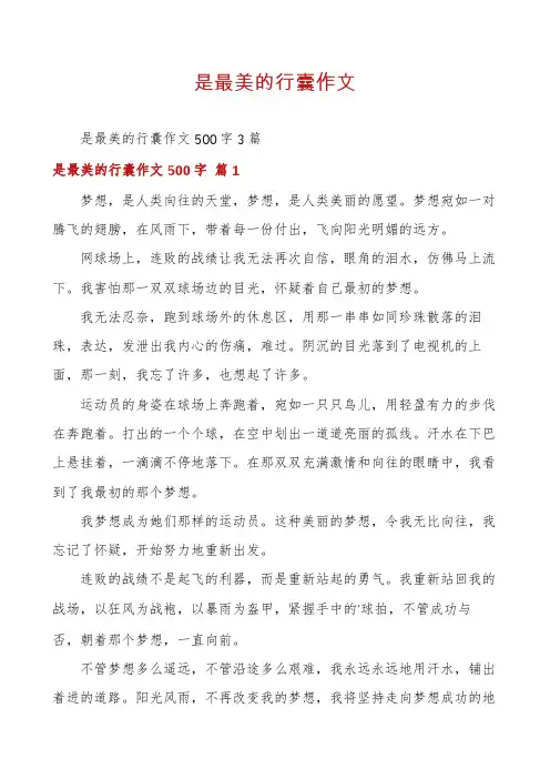 是最美的行囊作文