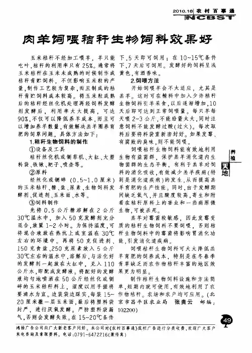肉羊饲喂秸秆生物饲料效果好