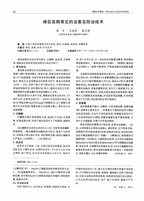 棉花苗期常见的虫害及防治技术
