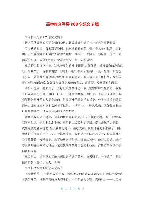 高中作文写景800字范文5篇