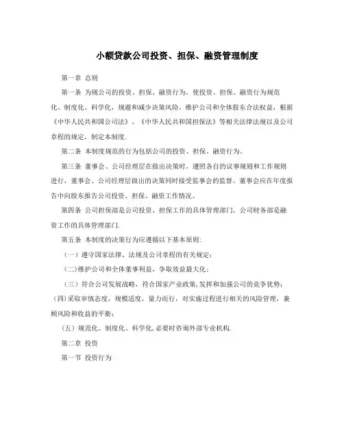 小额贷款公司投资、担保、融资管理制度