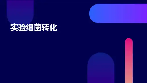 实验细菌转化