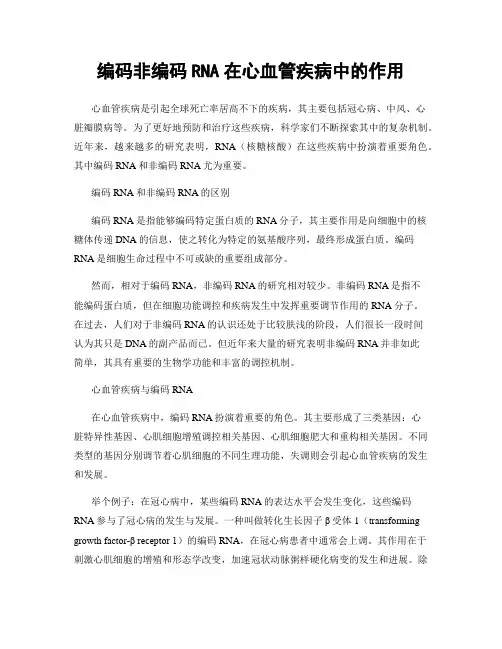编码非编码RNA在心血管疾病中的作用