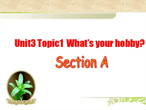 仁爱版八年级英语上册 Unit 3 Topic 1 Section A 课件(共21张PPT)全