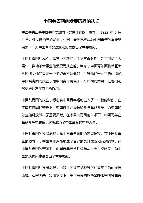 中国共青团的发展历程的认识