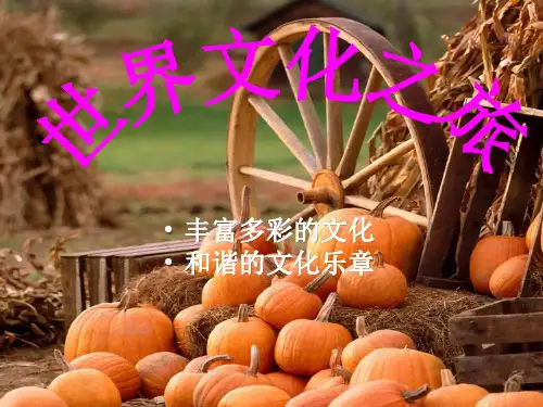 人教版八年级上册政治第五课第一框课件