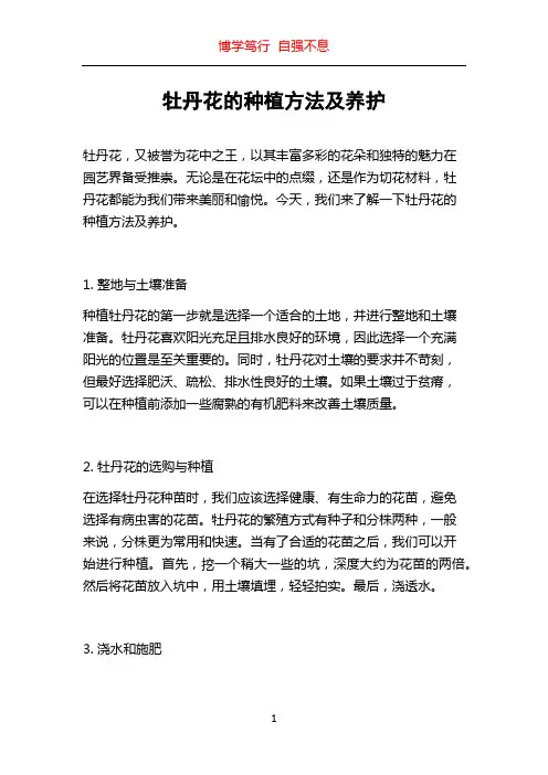 牡丹花的种植方法及养护
