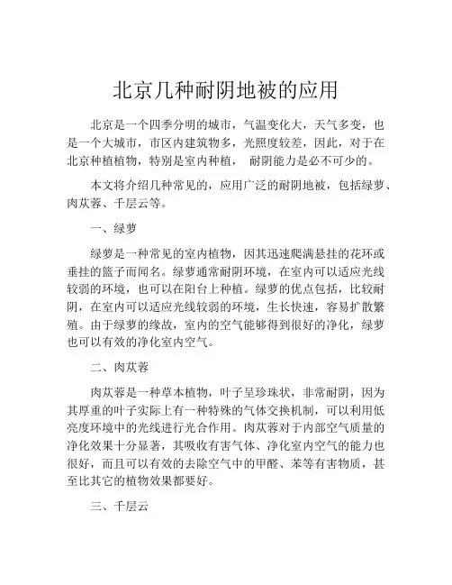 北京几种耐阴地被的应用