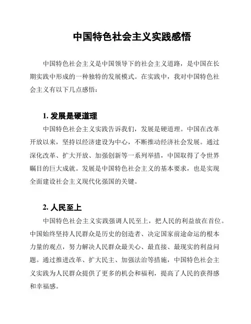 中国特色社会主义实践感悟