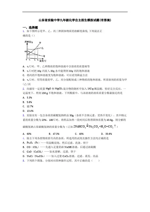 山东省实验中学九年级化学自主招生模拟试题(有答案)