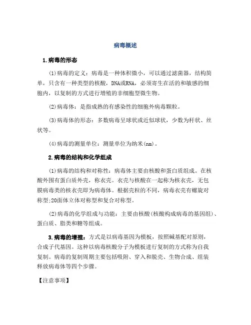 医学知识之病毒概述