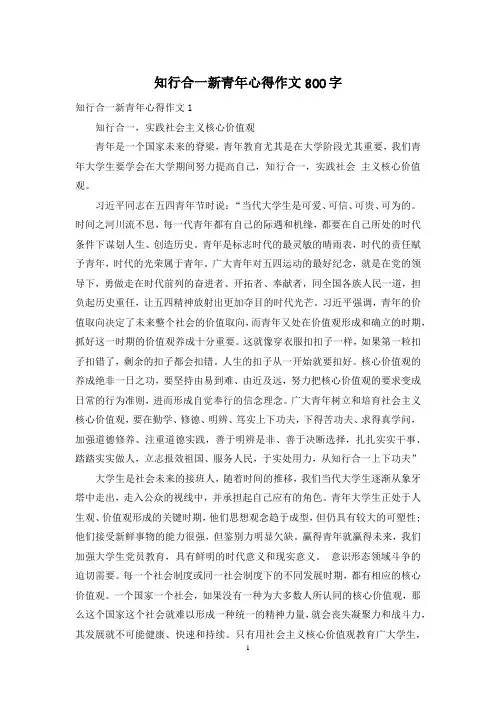 知行合一新青年心得作文800字
