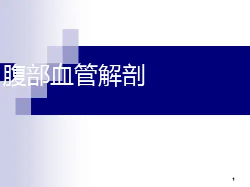 (参考课件)腹部血管解剖(静脉+动脉)