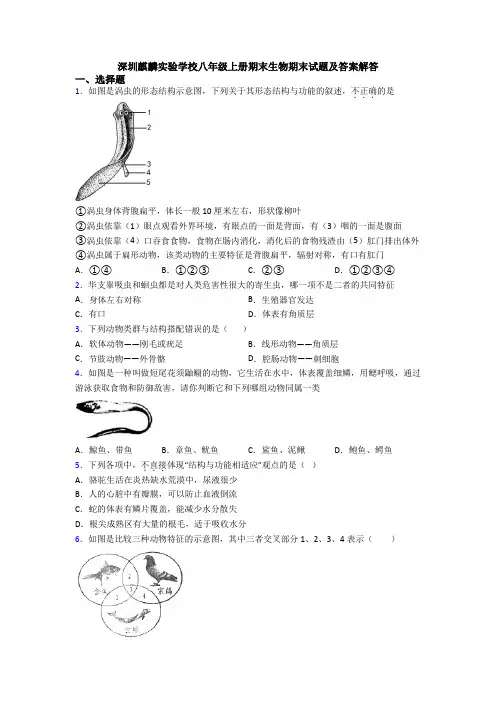 深圳麒麟实验学校八年级上册期末生物期末试题及答案解答