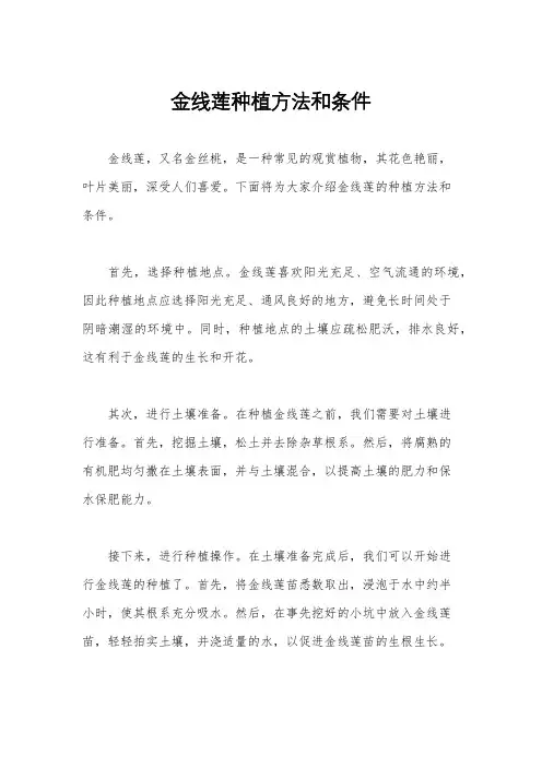金线莲种植方法和条件