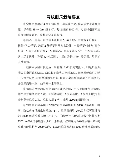网纹甜瓜栽培要点