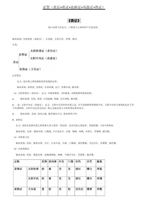 中医总结-证型(没有虚证)1