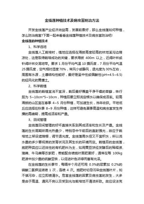 金线莲种植技术及病虫害防治方法
