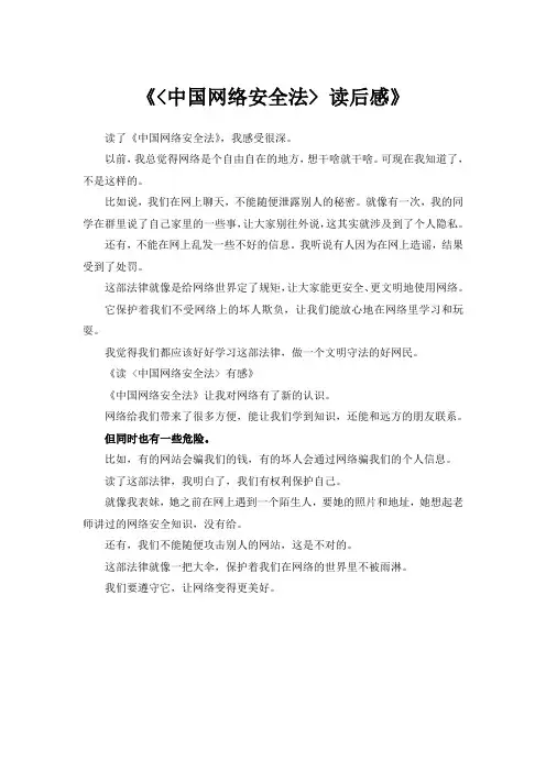 中国网络安全法读后感