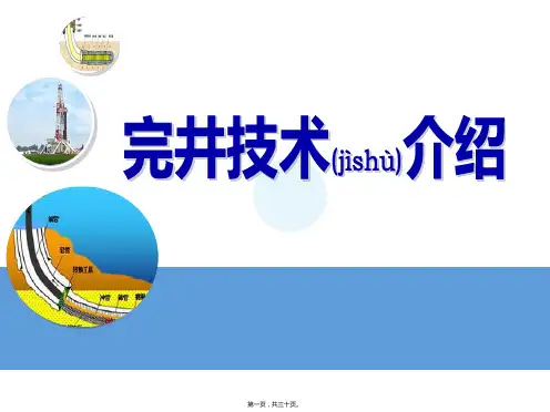 完井技术介绍