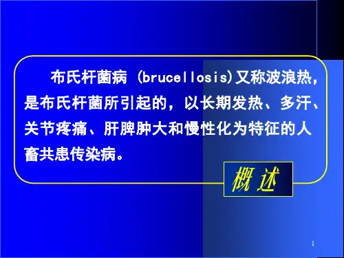 布氏杆菌病讲座PPT课件