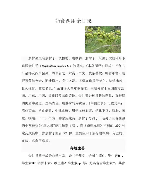 药食两用余甘果  zhougao