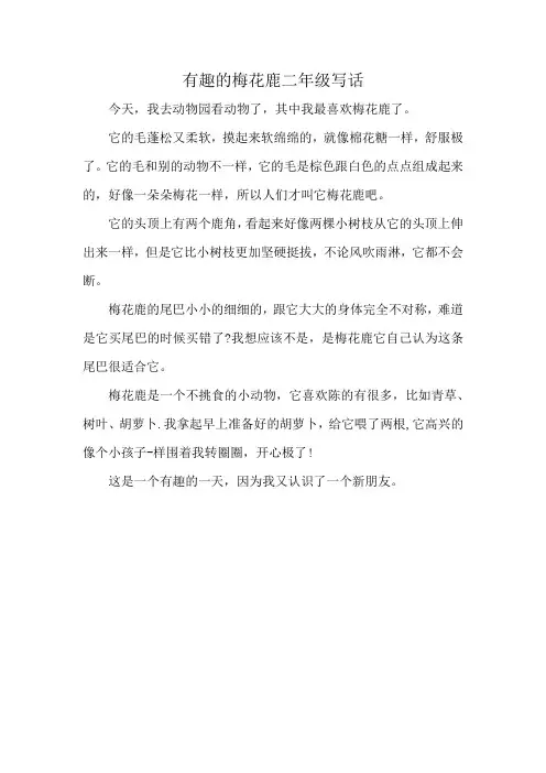 有趣的梅花鹿二年级写话