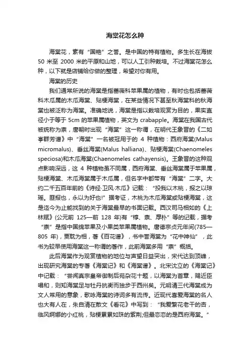 海棠花怎么种